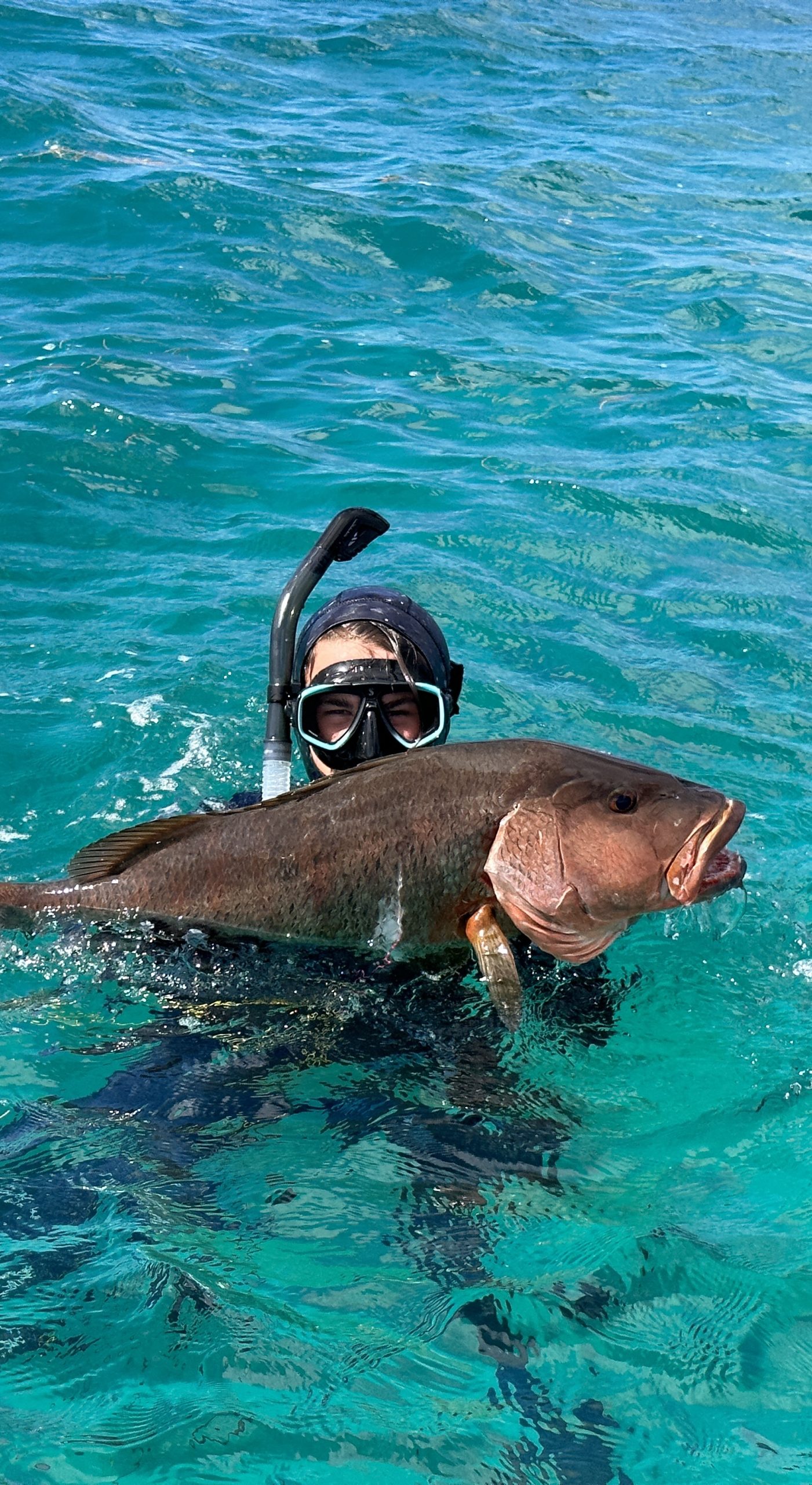 spearfishing in St Croix