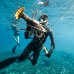 Spearfishing Trips
