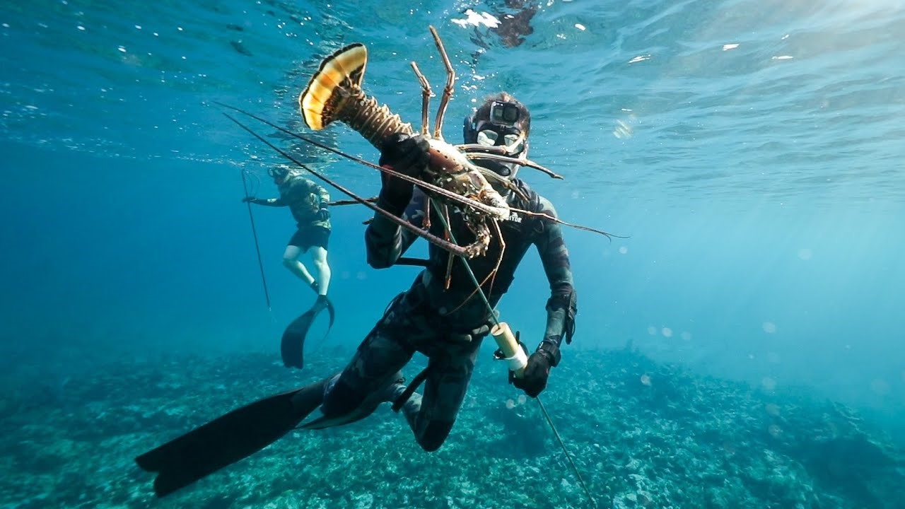 Spearfishing Trips